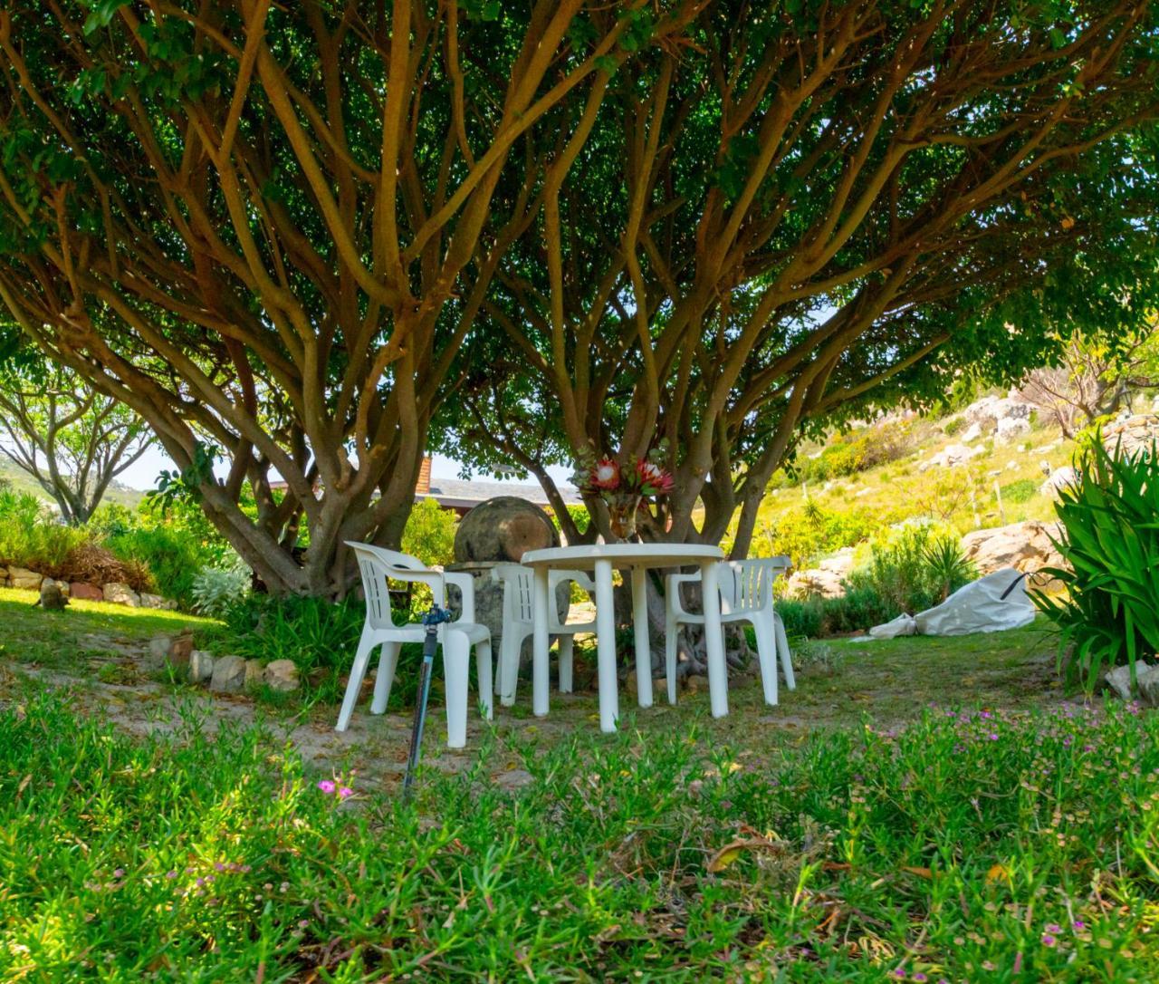 Makapa Lodge Kaapstad Buitenkant foto