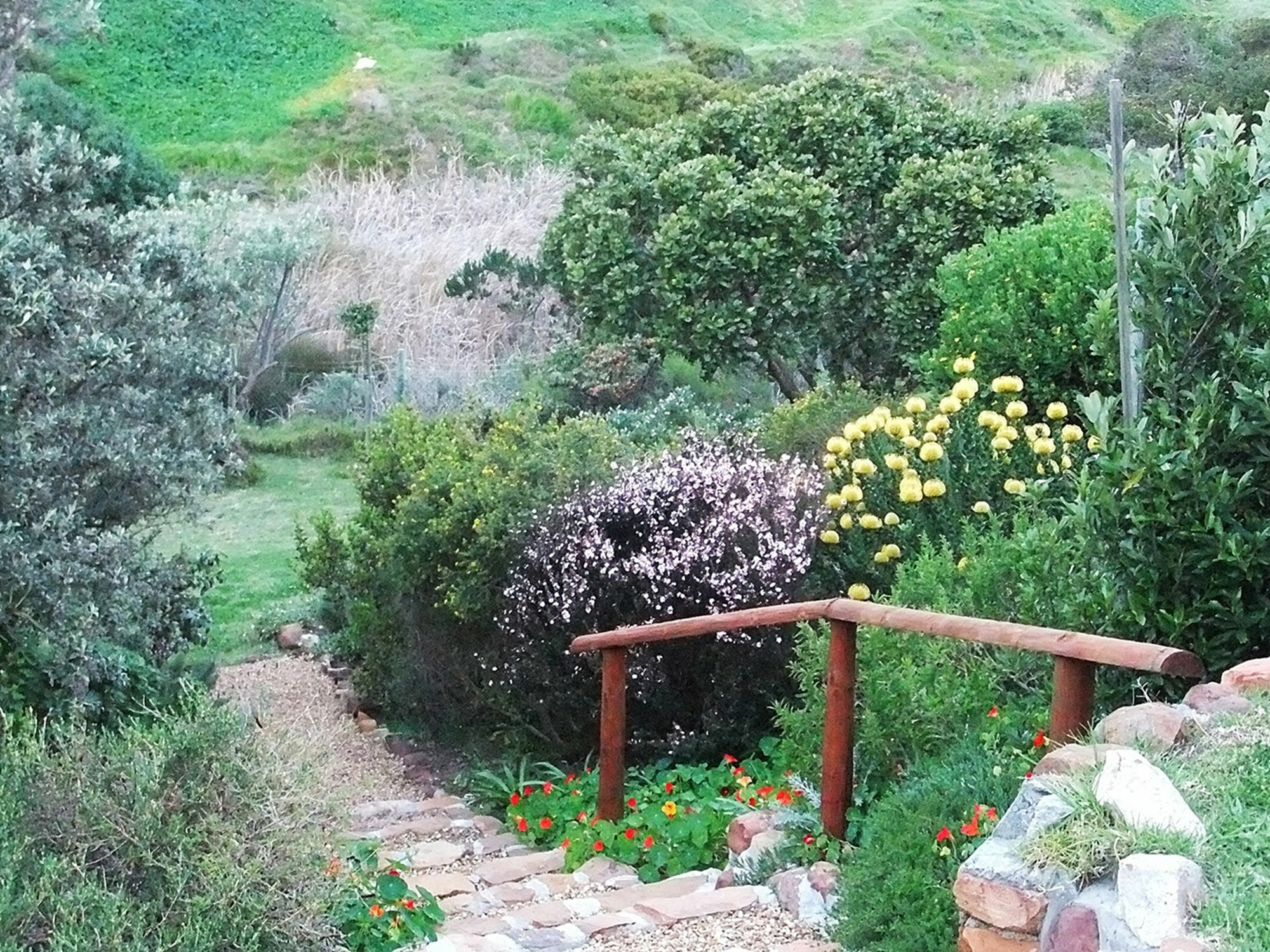 Makapa Lodge Kaapstad Buitenkant foto